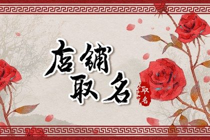 2019网店名字大全 网店名字大全吉利有创意插图