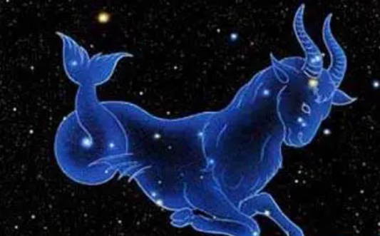 摩羯跟什么星座般配 摩羯座对什么星座最配插图