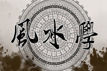 家中放什么植物旺宅最好 家里适合养什么绿植无毒插图