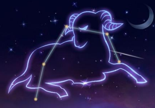 白羊座真的是智商最低的星座吗(白羊座真实智商是什么)插图