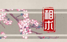 额头宽广的女人面相 富贵女人面相饱满缩略图 额头宽广的女人面相 富贵女人面相饱满缩略图