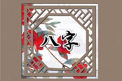 壬寅日柱2023年运势 丙子日柱男命遇癸卯年运势插图