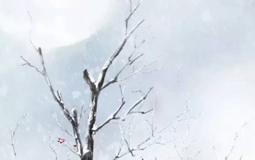 八字时柱代表个人哪个年龄段 八字中的时柱怎么得来的插图