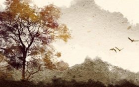 什么样的八字带有桃花 八字带桃花的男人意味着什么缩略图 什么样的八字带有桃花 八字带桃花的男人意味着什么缩略图
