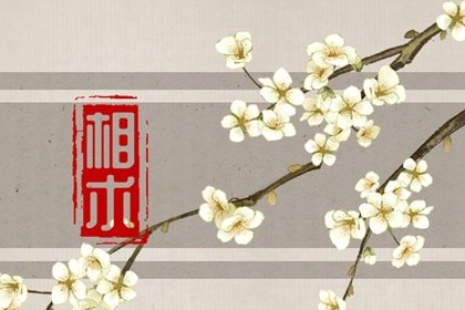 雌雄眼是龙凤眼吗 眼角凤尾纹面相插图