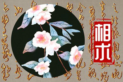 颧骨丰满的男人面相 颧骨丰满的面相图解插图