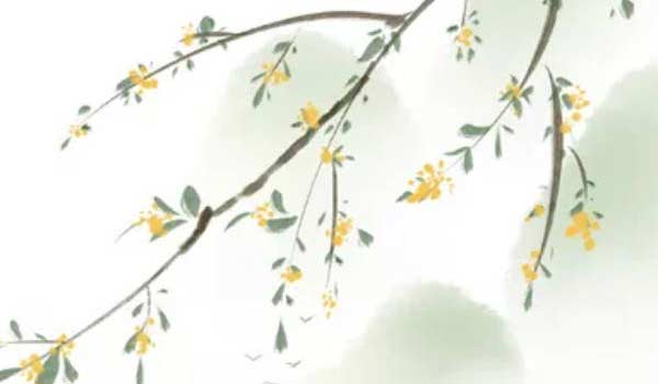 甲子日柱遇癸卯年运势 甲子日遇壬寅流年运势插图
