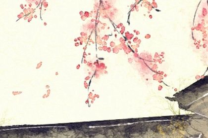 癸卯日柱遇癸卯流年好吗 癸卯日柱男和癸卯日柱女插图