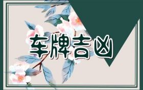 五行车牌尾号0到9寓意 五行缺金车牌尾号选7好不好缩略图 五行车牌尾号0到9寓意 五行缺金车牌尾号选7好不好缩略图