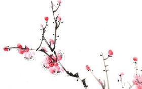 本命年哪天放生好 本命年放生了运气会好吗缩略图 本命年哪天放生好 本命年放生了运气会好吗缩略图