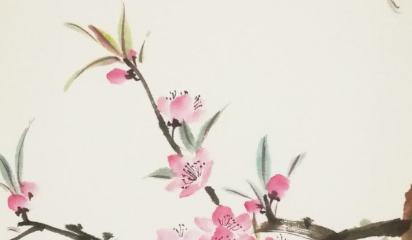 有什么好听的商标名称大全(好听的注册商标名字大全)插图