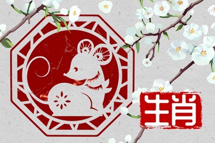 2008年属鼠的幸运颜色和数字(2008年属鼠人的幸运数字和幸运颜色)插图