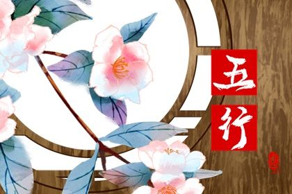 2023年兔宝宝什么命属五行属什么(2023年属兔的是什么命五行)插图