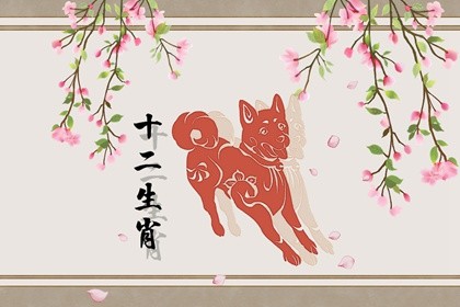 属狗的2022年运势和财运怎么样(生肖狗11月份运势2020)插图