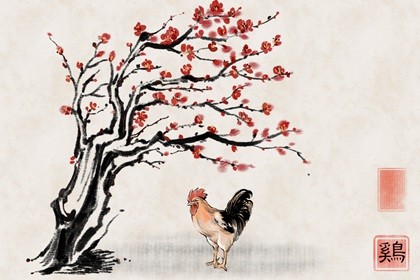 2022年属鸡人高考运势(属鸡在2023年的运势好不好呢)插图