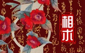 女人小手小脚是富贵命(第1页)(女生小手小脚是富贵命)缩略图 女人小手小脚是富贵命(第1页)(女生小手小脚是富贵命)缩略图