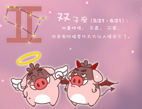 双子座的特点和性格女生(双子座女生性格特点分析(超准))插图