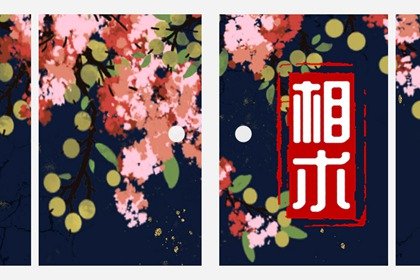 身上哪些痣暗示大富大贵(3种“巨富”痣)插图