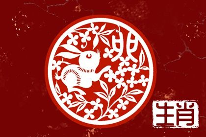 2023年属兔宝宝农历几月出生不好 2023年兔宝宝是什么兔插图
