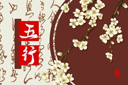 2023年的五行是什么命(2023年出生五行属什么命)插图