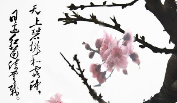 好听的物流公司名字大全(300个吉祥运输公司名字大全)插图