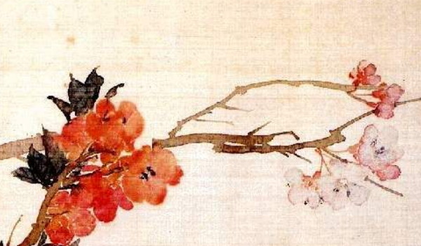 2023年戊午日柱女八字运势 癸亥年庚寅日柱女2022年运势插图