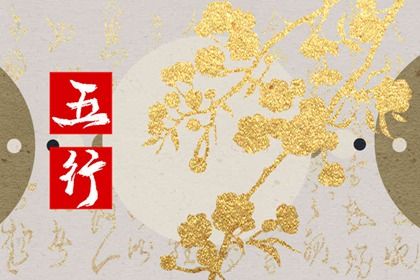 五行喜水的含义分析 对五行喜水的建议有哪些(五行喜水的含义分析 对五行喜水的建议有哪些方面)插图