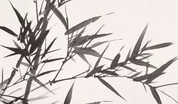八字里的财库是什么意思(八字四柱财库各代表什么 命中有财库是什么意思)插图