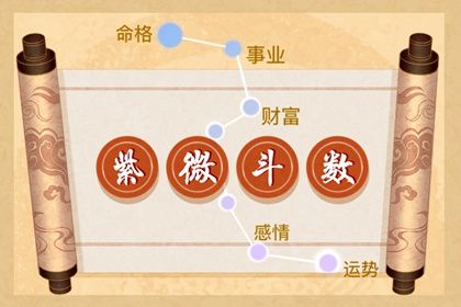 紫微斗数命主破军身主文昌(紫微斗数命主禄存身主文昌)插图