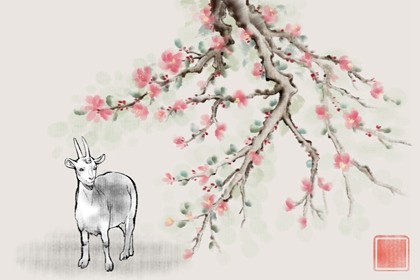 属羊2022年11月的运势如何(属羊人2022年11月份运势如何)插图
