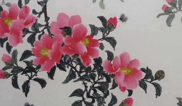 甲寅食神大运(大运逢食神什么意思)插图