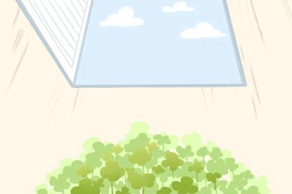 属猪人十二月份的运气(十二生肖属猪今年财运怎么样)插图
