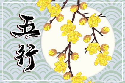 2023南方火运对喜火的人好吗 火运旺适合走什么运插图