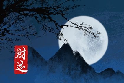 偏财格男命喜欢的女生(偏财多的男人喜欢什么女人)插图
