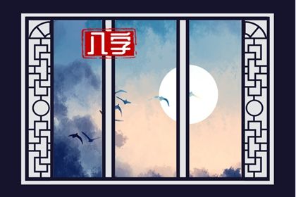 2022壬寅年怀男孩的八字(壬午日生在子月的八字例子)插图