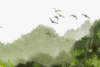 2023年运势12生肖运势每月运程(2023年运势及运程每月运程)插图