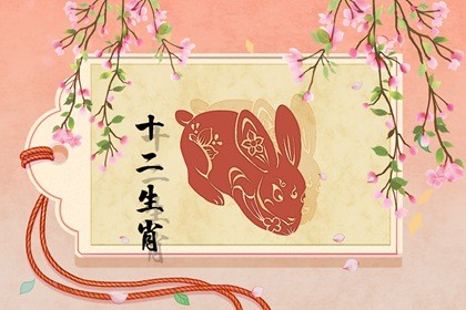 属虎和属兔的会不会离婚(属虎的和属兔的婚姻合不合适)插图