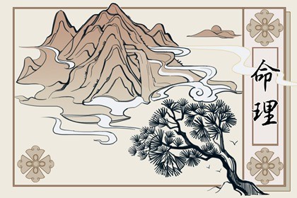 2023年春节出生的属兔还是属虎 属虎人的运势如何(2023年春节出生的属兔还是属虎 属虎人的运势如何看)插图