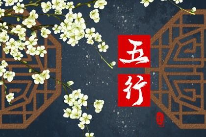 2024年五行属什么金吗(2022年金箔金命五行缺什么)插图