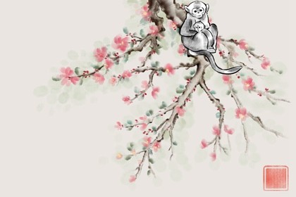 2020年属猴人学业运势(2020年11月属猴人的运势如何)插图
