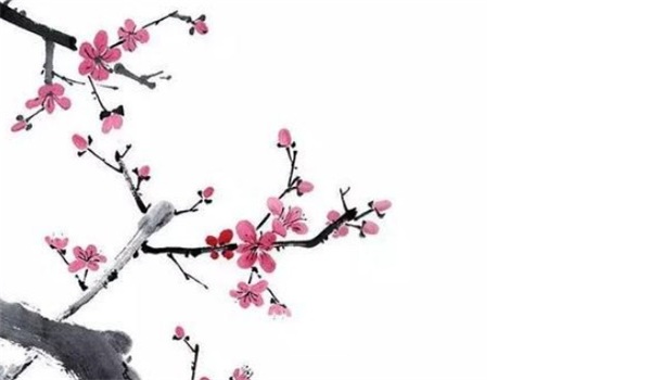 属虎的桃花运在哪个方位 今年11月份属虎的桃花运如何插图