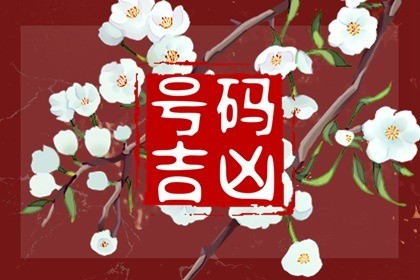 生女孩牛尾好还是虎头好(生个牛尾巴好还是虎头好)插图