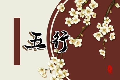 松柏木命应去哪个方向发展好(木命的人在2020年交运)插图