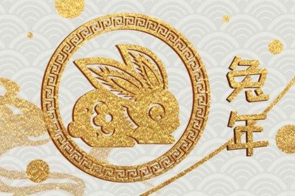 癸卯年是属哪个生肖 癸卯年纳音是属什么插图