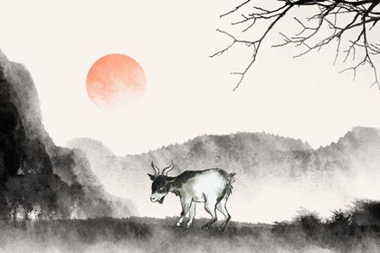 辛未年生人命运(辛未年出生的人的命运)插图