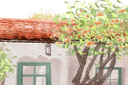 梅花易数怎么化解(梅花易数如何断财运)插图