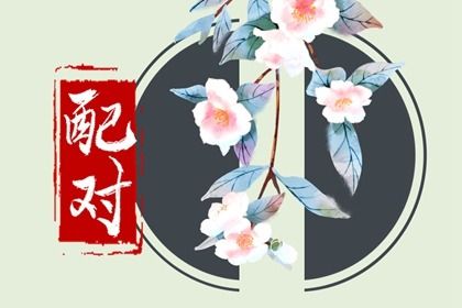 生辰八字测另一半属相(八字算命中注定另一半)插图