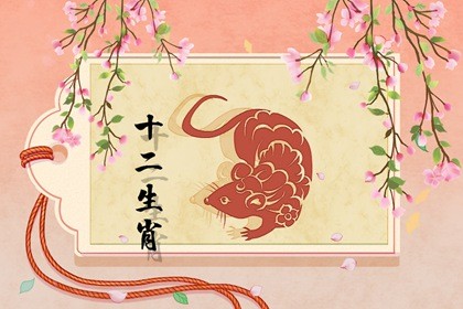 生肖猪和鼠婚配如何(猪和鼠的生肖婚姻配吗)插图