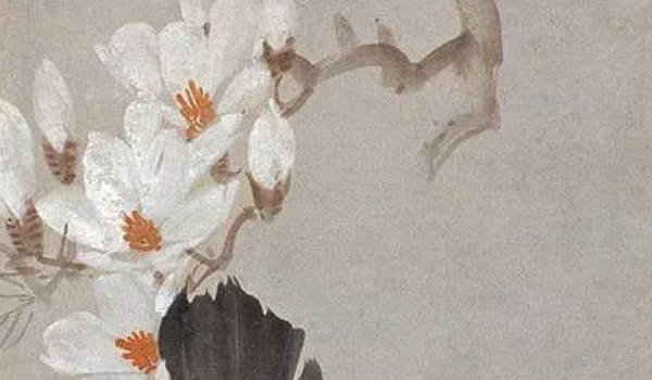 寅卯辰三会局详解会结婚吗(寅卯辰三会木局人的命运)插图
