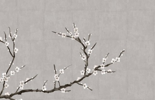 属鸡人十一月份的财运如何(属鸡的人十二月份财运怎么样)插图